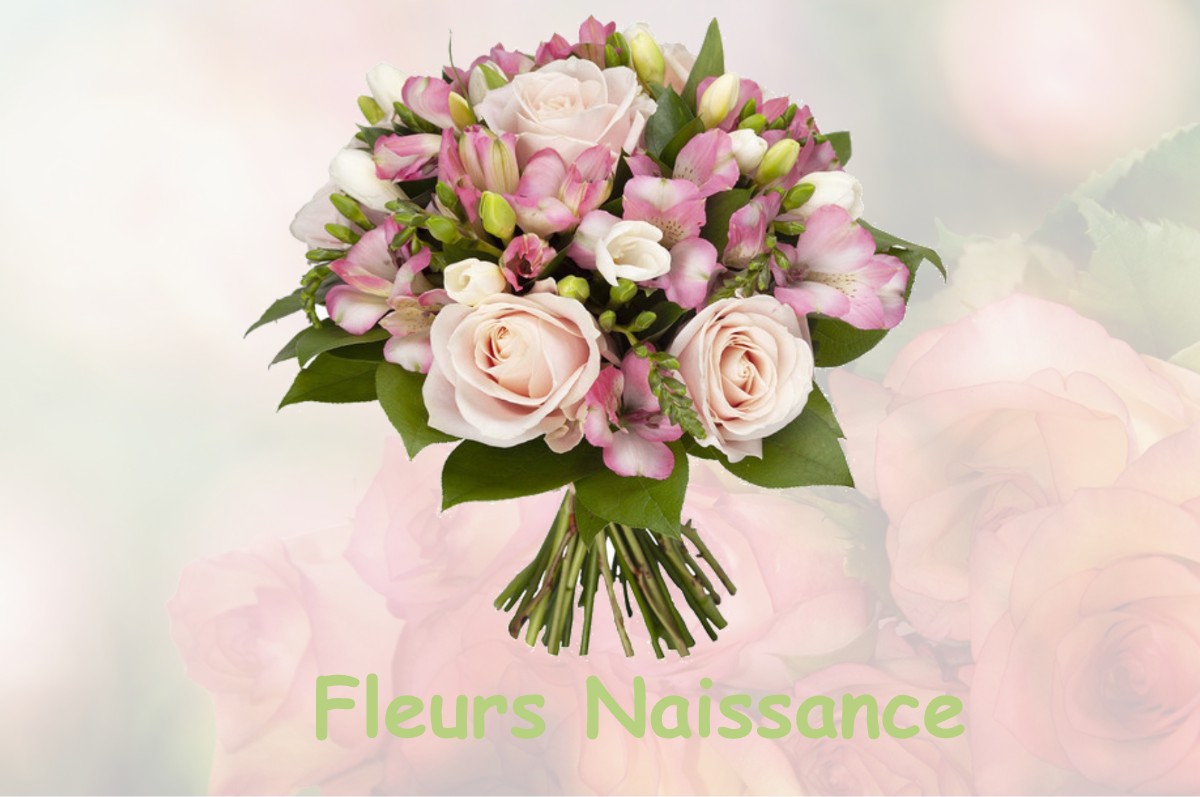 fleurs naissance MONTIGNY-LES-ARSURES