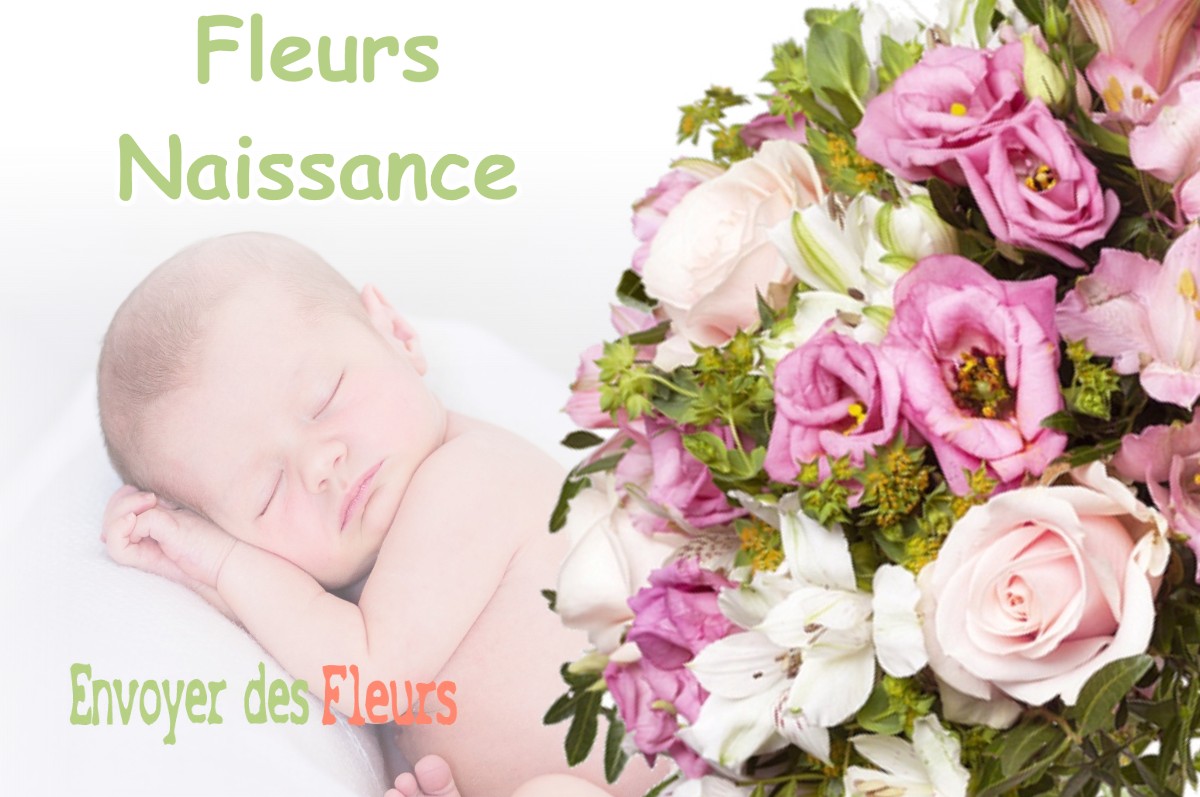 lIVRAISON FLEURS NAISSANCE à MONTIGNY-LES-ARSURES